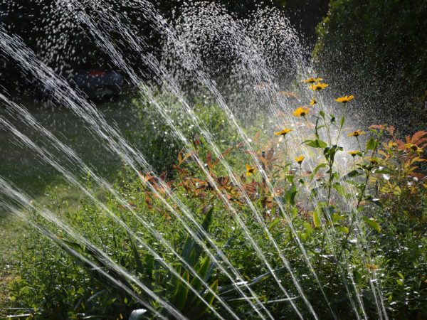 Sezonowe nawadnianie ogrodów: wskazówki na każdą porę roku